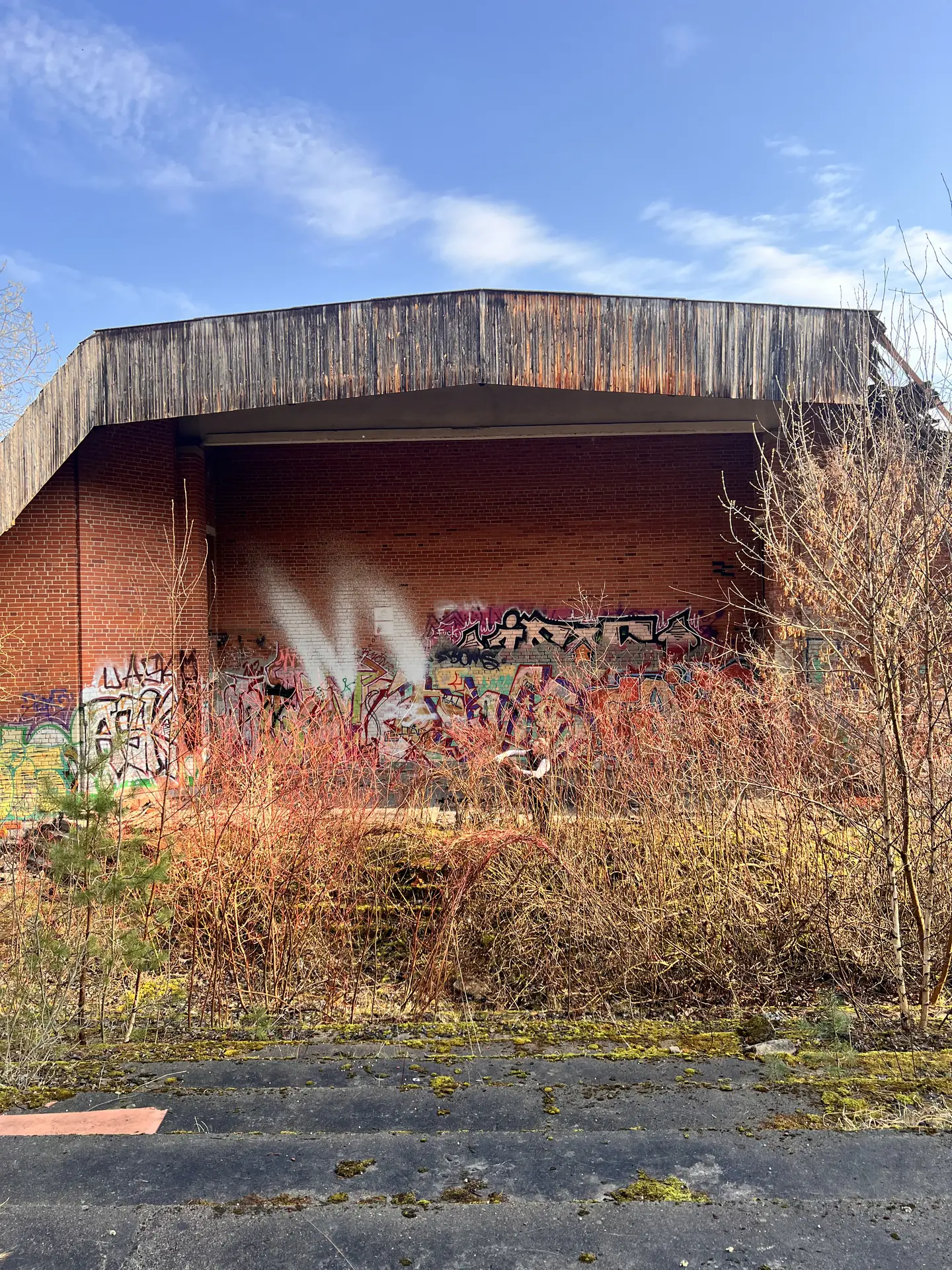 Dense vegetation growing against the graffitied brick building.