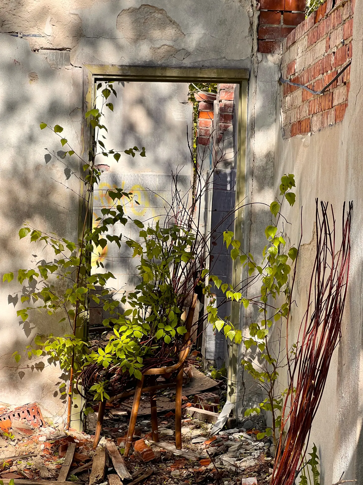 A doorway in the ruined building, with a chair and branches growing through the opening.